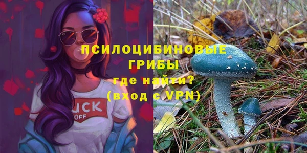 ГАЛЛЮЦИНОГЕННЫЕ ГРИБЫ Нязепетровск