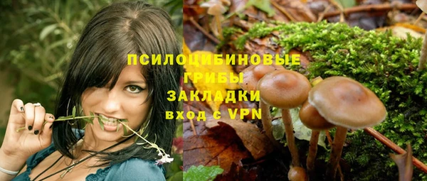 ГАЛЛЮЦИНОГЕННЫЕ ГРИБЫ Нязепетровск