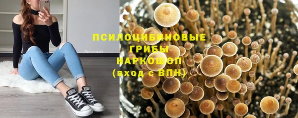 бошки Осташков