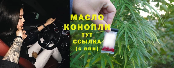 крисы Осинники