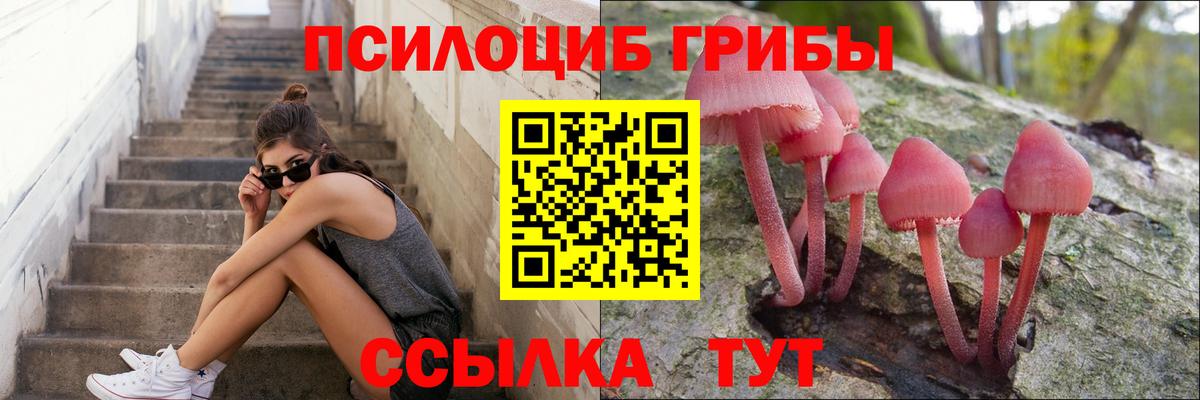Псилоцибиновые грибы мицелий  Вход с VPN  Осинники 